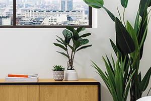 Plante artificiale