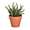 Plante artificiale