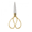 Birotica