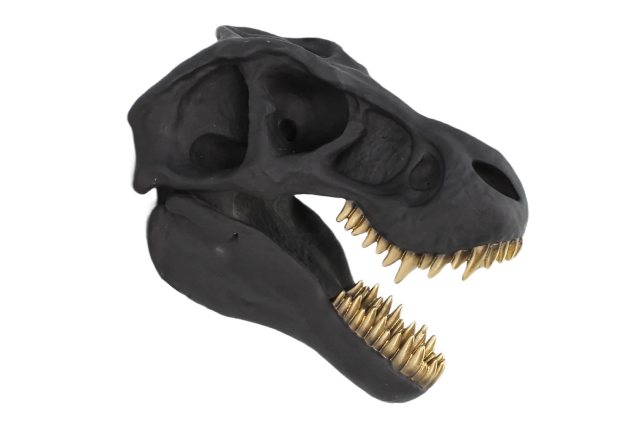 t rex: înapoi în cretacic Decoratiune de perete neagra din fibre sintetice 27x37 cm T-Rex The Home Collection