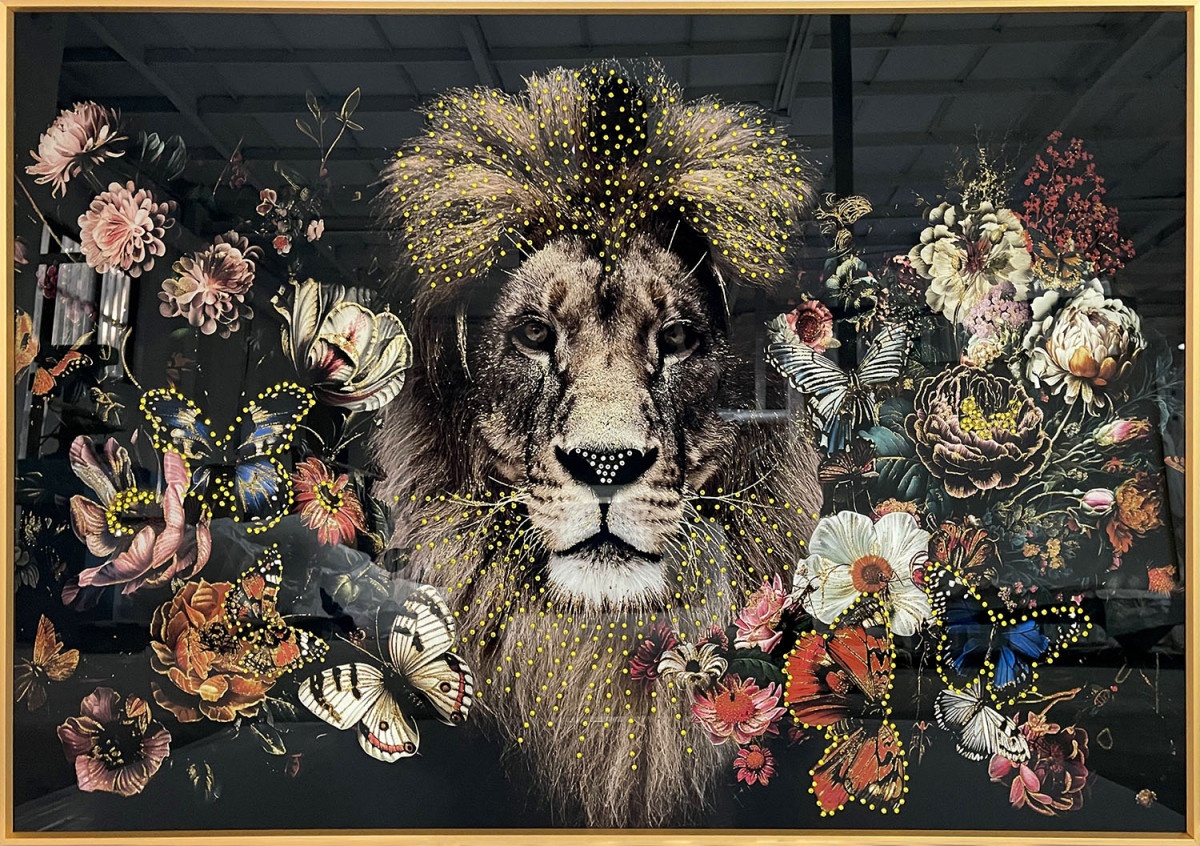 Tablou multicolor din sticla 80x120 cm Lion Ter Halle