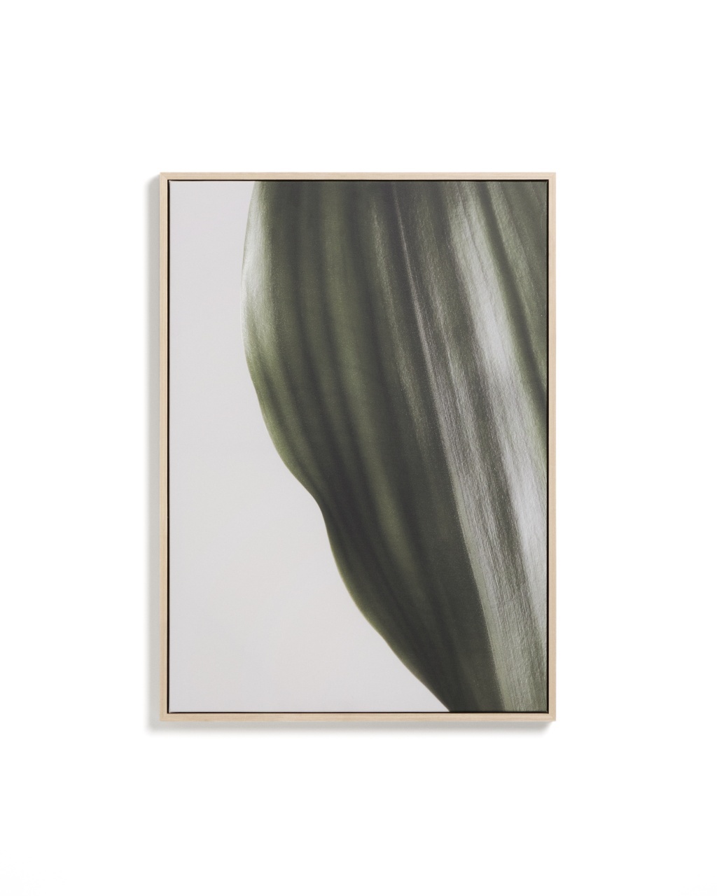 grădina botanică din cluj napoca fotografii Tablou alb/negru din fibre naturale 52x72 cm Foliae Kave Home