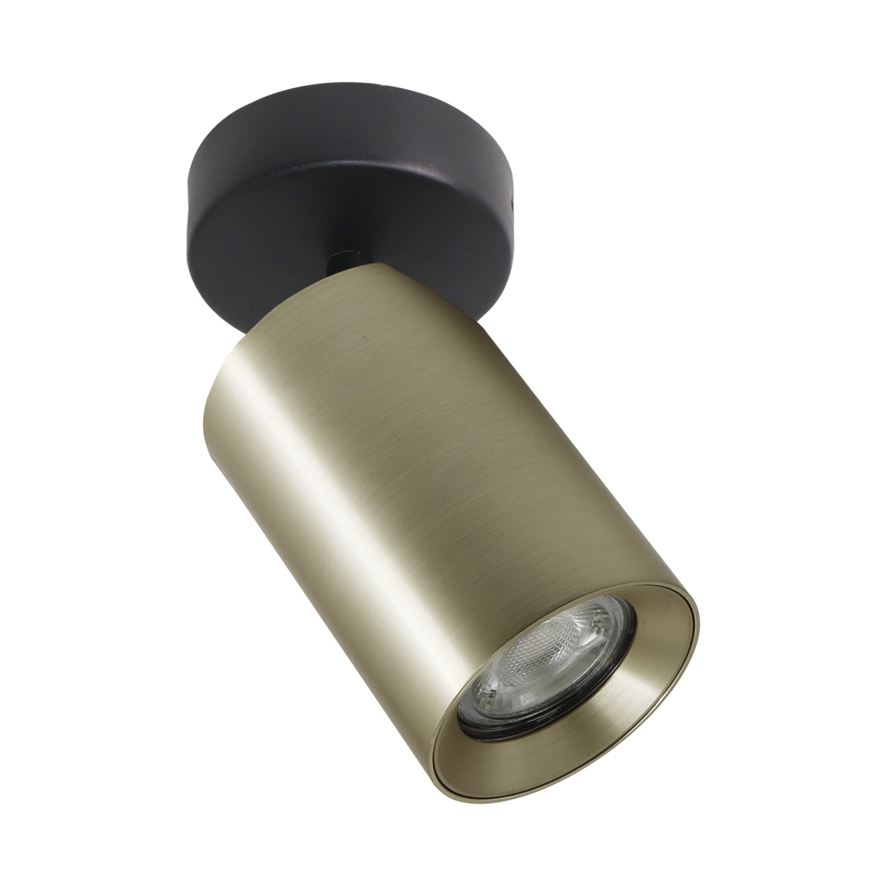 Lighting Fixtures Spot auriu din metal Tore Zuma Line