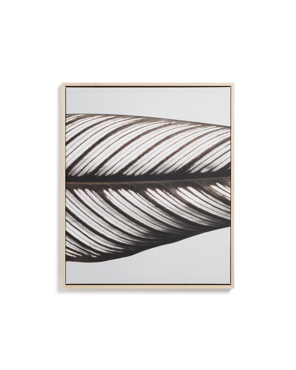 grădina botanică din cluj napoca fotografii Tablou multicolor din fibre naturale 53x63 cm Foliae Kave Home