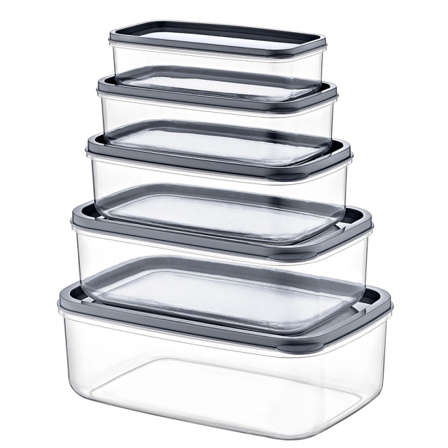 Set 5 recipiente cu capac transparente din plastic Walker The Home Collection