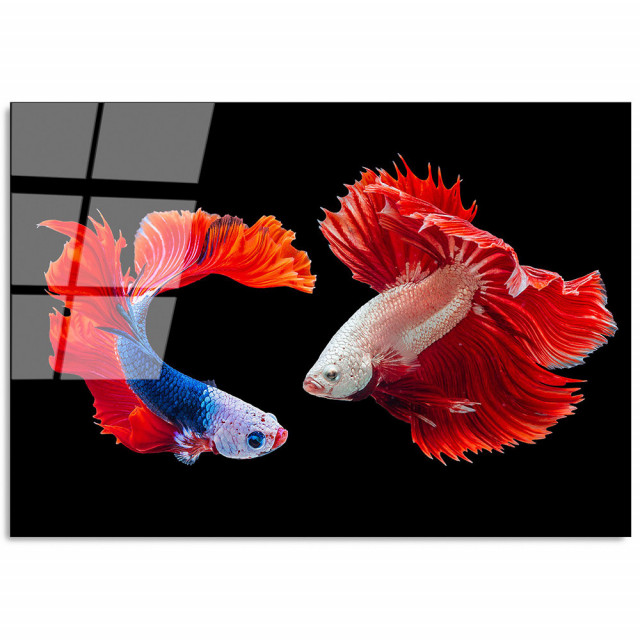 Tablou multicolor din sticla 70x100 cm Fish The Home Collection