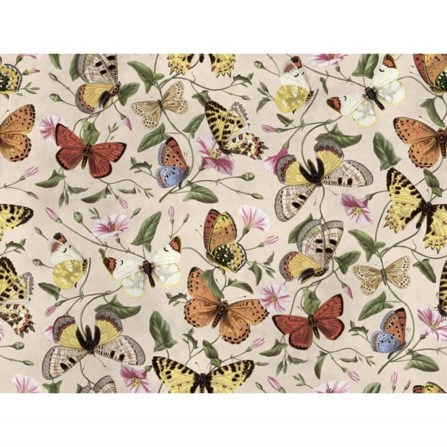 Tapet multicolor din hartie Butterflies Color Rebel Walls