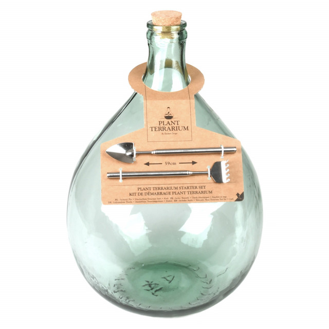 Terariu cu accesorii transparent din sticla Tisa 15 L Esschert Design