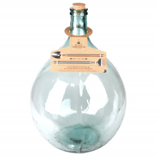 Terariu cu accesorii transparent din sticla Tisa 50 L Esschert Design
