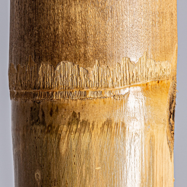 Decoratiune maro din bambus 250 cm Cane Vical Home The Home.ro