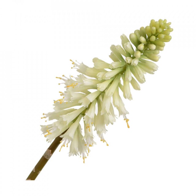 Floare artificiala alba din plastic 71 cm Kniphofia Jade Lou de Castellane