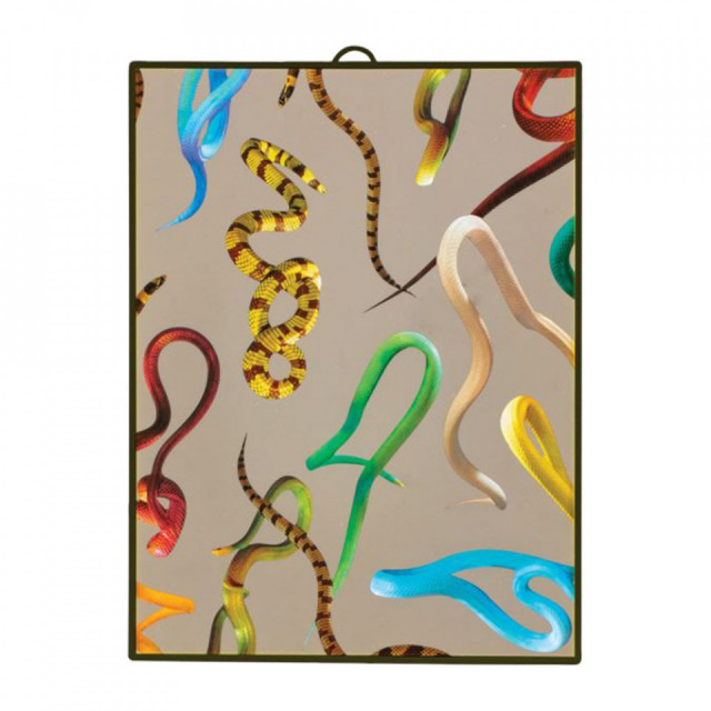 Oglinda decorativa multicolora din sticla 23x30 cm Snakes Seletti