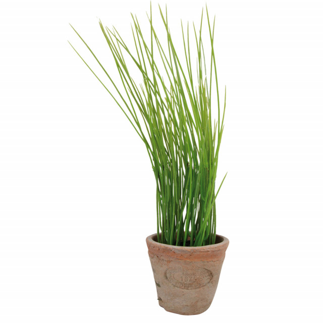 Planta artificiala cu ghiveci verde/portocalie din teracota si polistiren 28 cm Chives S Esschert Design