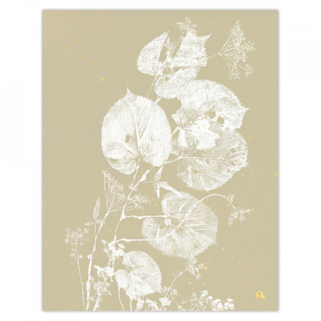 Poster multicolor din hartie 36x46 cm Field Woood