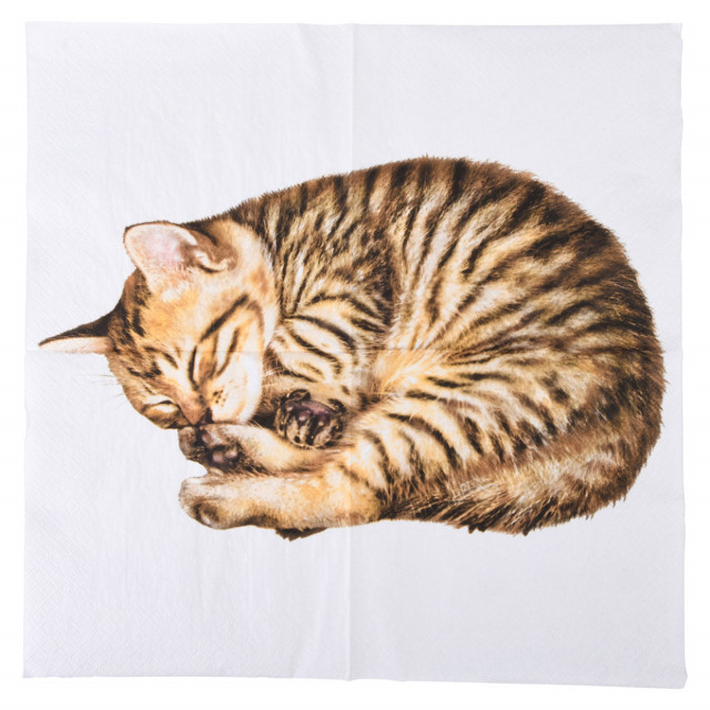 Servetele multicolore din hartie 33x33 cm Cat Esschert Design