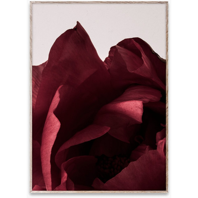 Tablou multicolor cu rama din lemn Peonia 03 Paper Collective