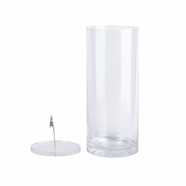 Vaza transparenta din sticla 30 cm Ramsa Esschert Design