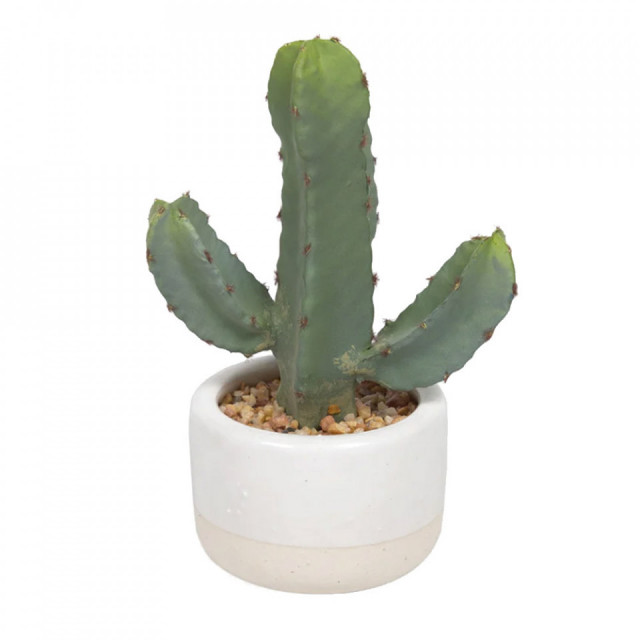 Planta artificiala cu ghiveci din polietilena si fier 22 cm Cactus Kave Home
