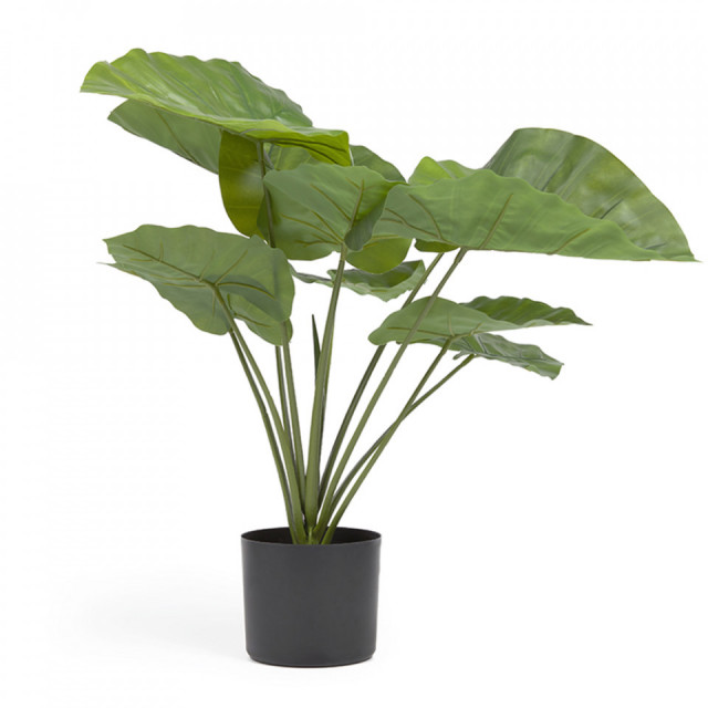 Planta artificiala cu ghiveci din polietilena si fier 57 cm Alocasia Odora Kave Home