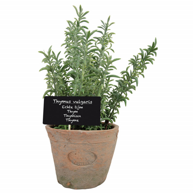 Planta artificiala cu ghiveci verde/portocalie din ceramica 22 cm Thyme L Esschert Design