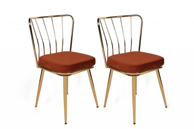 Set 2 scaune dining albastru maro/aurii din catifea Ydal The Home Collection
