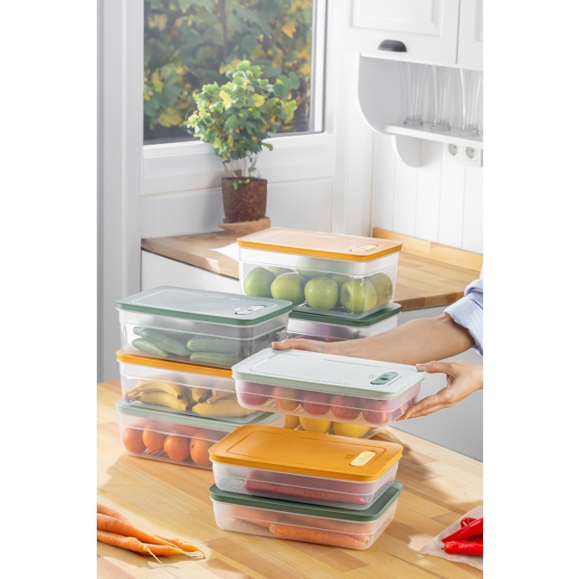 Set 9 organizatoare pentru frigider multicolore din plastic Lu The Home Collection