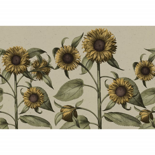 Tapet multicolor din hartie Sunflower Rebel Walls