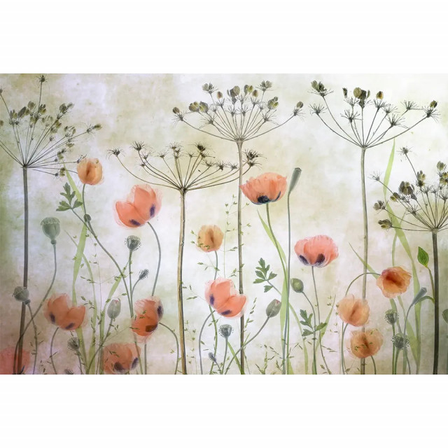 Tapet multicolor din hartie Poppy Meadow Rebel Walls