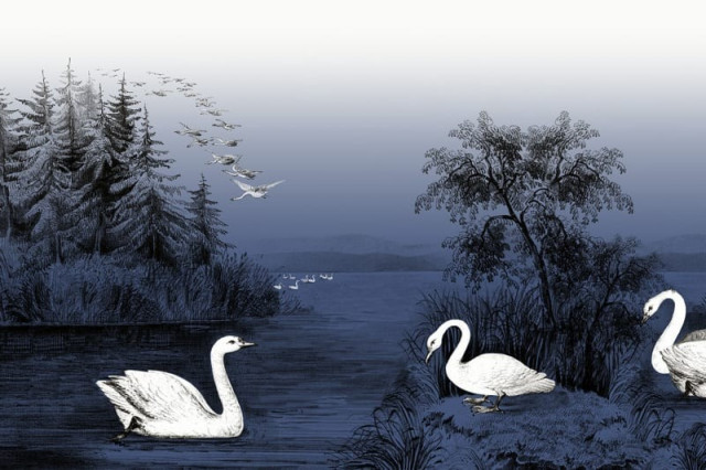 Tapet multicolor din hartie Swan Lake Nightfall Rebel Walls