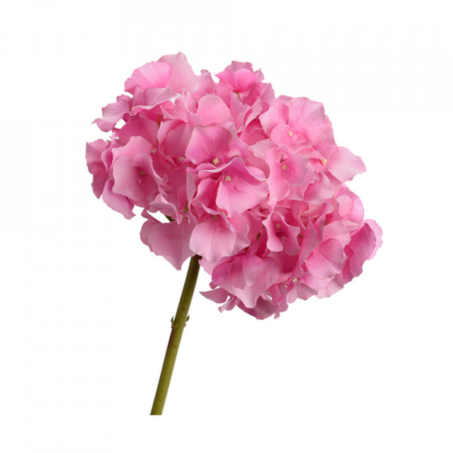 Floare artificiala roz din poliester si plastic 48 cm Hgoldentensia Altona Lou de Castellane