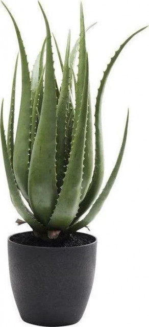 Planta artificiala cu ghiveci verde din ciment 69 cm Aloe Kare