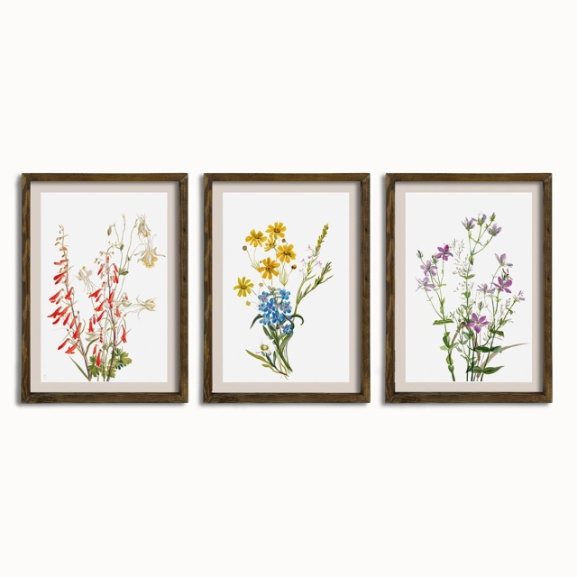 Set 3 tablouri multicolore din lemn 50x70 cm Hansen The Home Collection