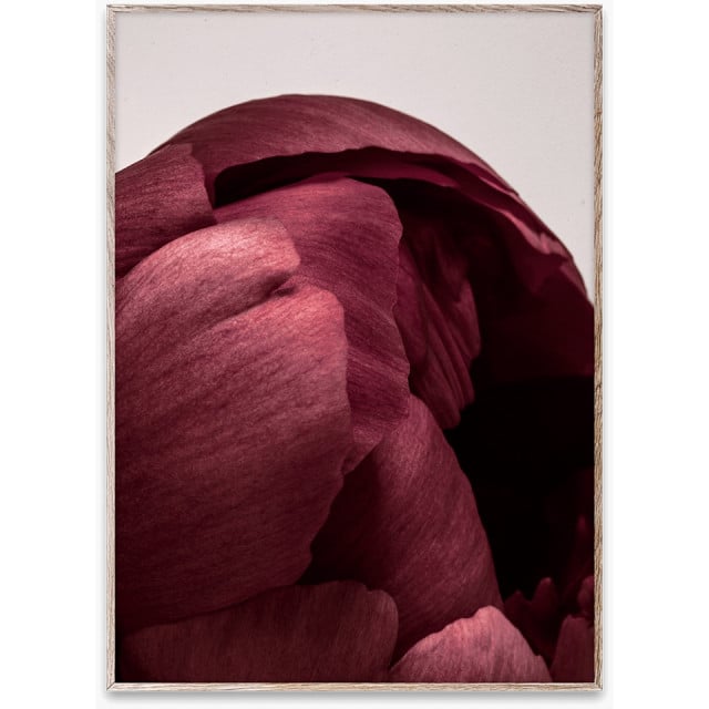 Tablou multicolor din lemn Peonia 01 Paper Collective (diverse dimensiuni)