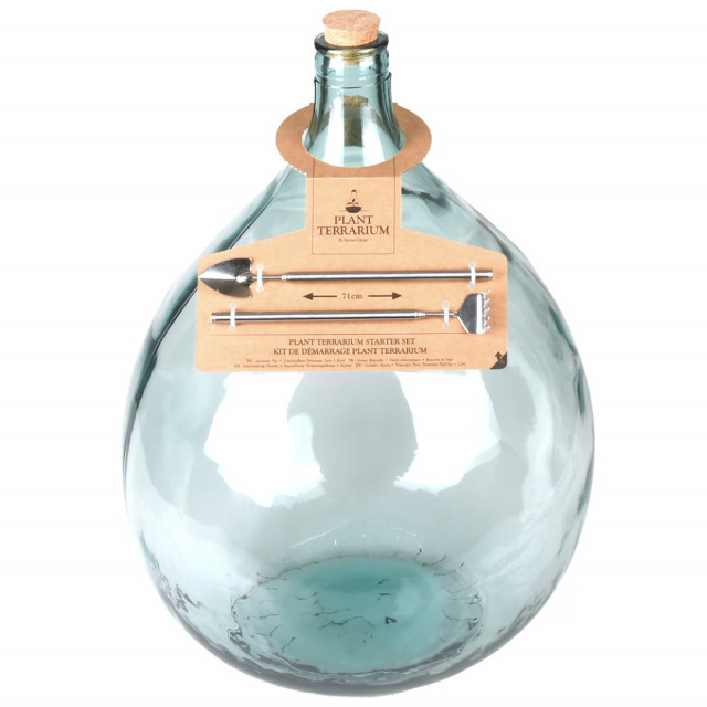 Terariu cu accesorii transparent din sticla Tisa 35 L Esschert Design