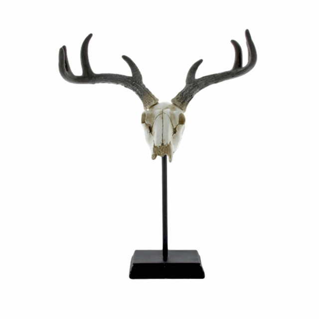 Decoratiune din polirasina si fier 48 cm Skull LifeStyle Home Collection