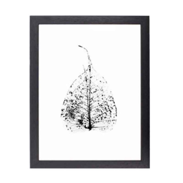 Rama foto neagra din lemn si sticla 34x44 cm Leaf Skeleton LifeStyle Home Collection