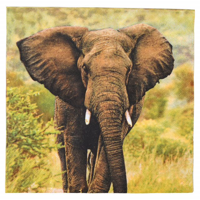 Set 20 servetele multicolore din hartie 33x33 cm Elephant Esschert Design