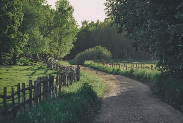 Tapet din hartie Wooden Fence Rebel Walls