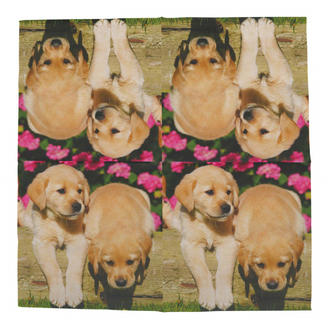 Servetele multicolore din hartie 33x33 cm Puppies Esschert Design