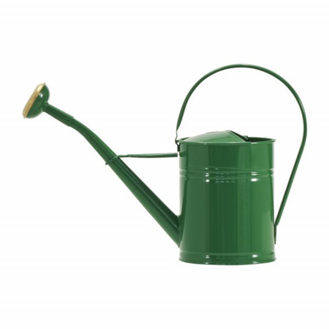 Stropitoare verde din metal 2 L Wan House Doctor