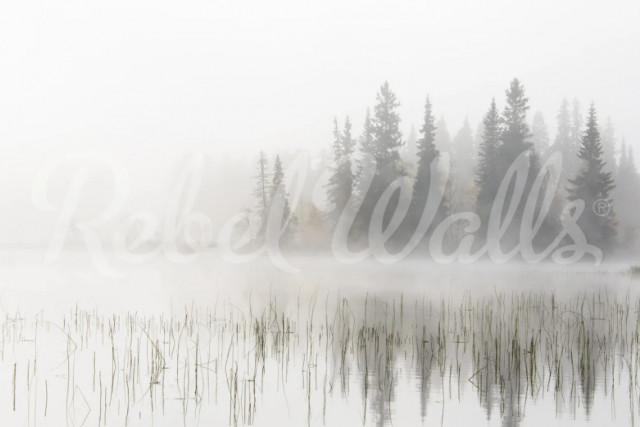 Tapet gri din hartie cu fibre de nailon Frosty Lake Walls