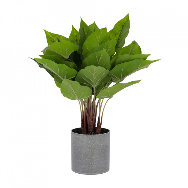 Planta artificiala cu ghiveci din ciment 50 cm Anthurium Kave Home
