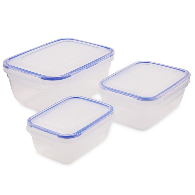 Set 3 recipiente cu capac transparente din plastic Daminan The Home Collection