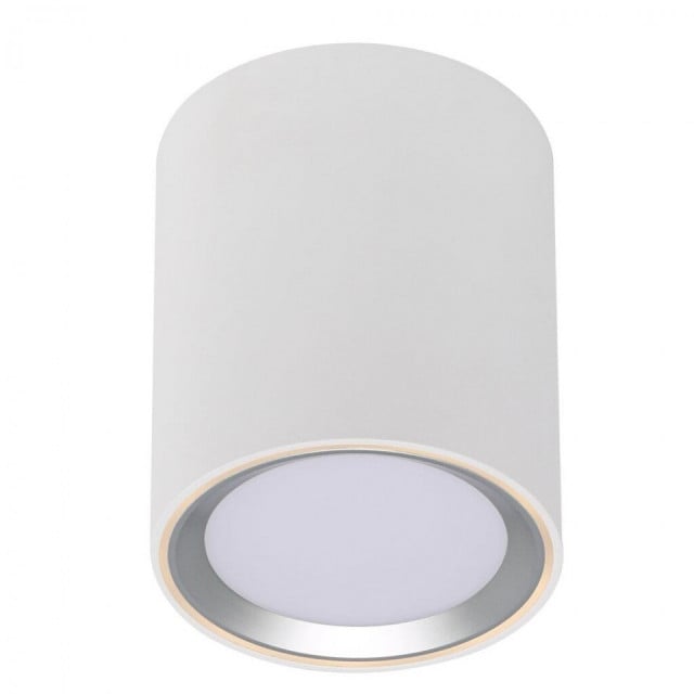 Spot LED dimabil alb/argintiu din metal Fallon Long Brushed Nordlux