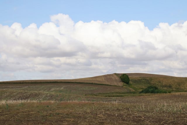 Tapet din hartie Cropland Rebel Walls