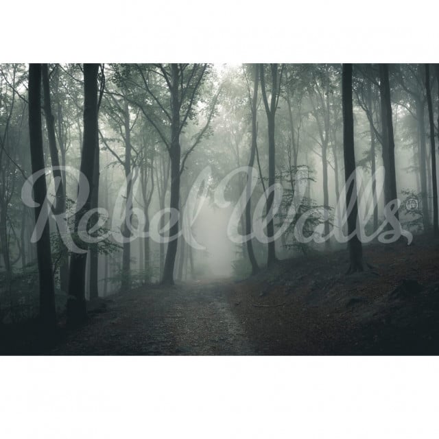 Tapet multicolor din hartie cu fibre de nailon Forest In Fog Rebel Walls