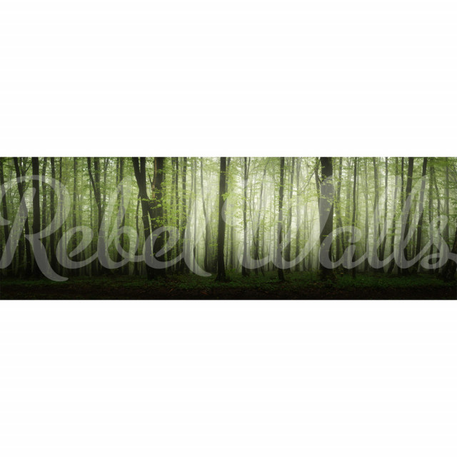 Tapet verde din hartie cu fibre de nailon Dawn In The Forest Rebel Walls