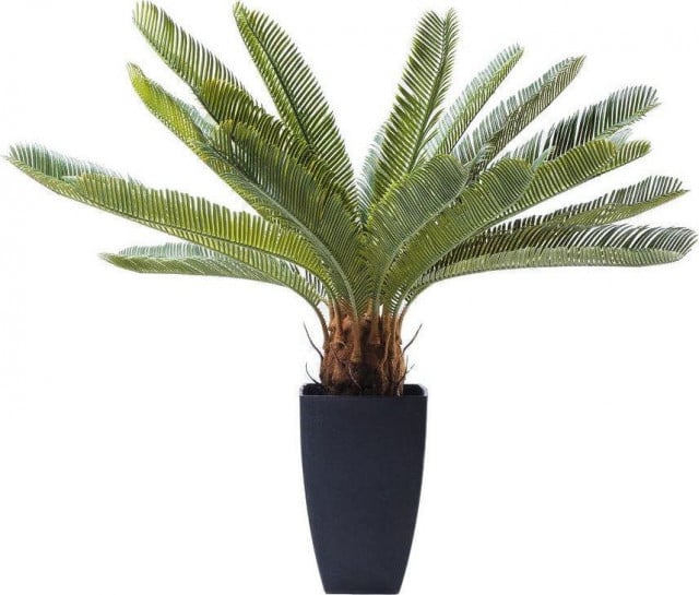 Planta artificiala cu ghiveci verde din ciment 78 cm Cycas Tree Kare