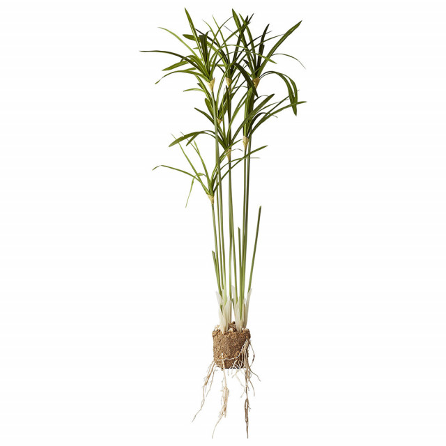 Planta artificiala verde 79 cm Flora Papyrus Lene Bjerre
