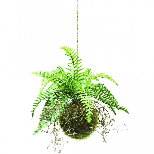 Planta artificiala verde din plastic 48 cm Crimeea The Home Collection